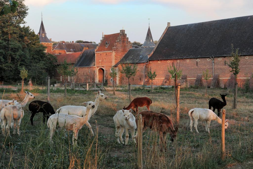 Kasteel Nieuwenhoven Lejlighed Sint-Truiden Eksteriør billede